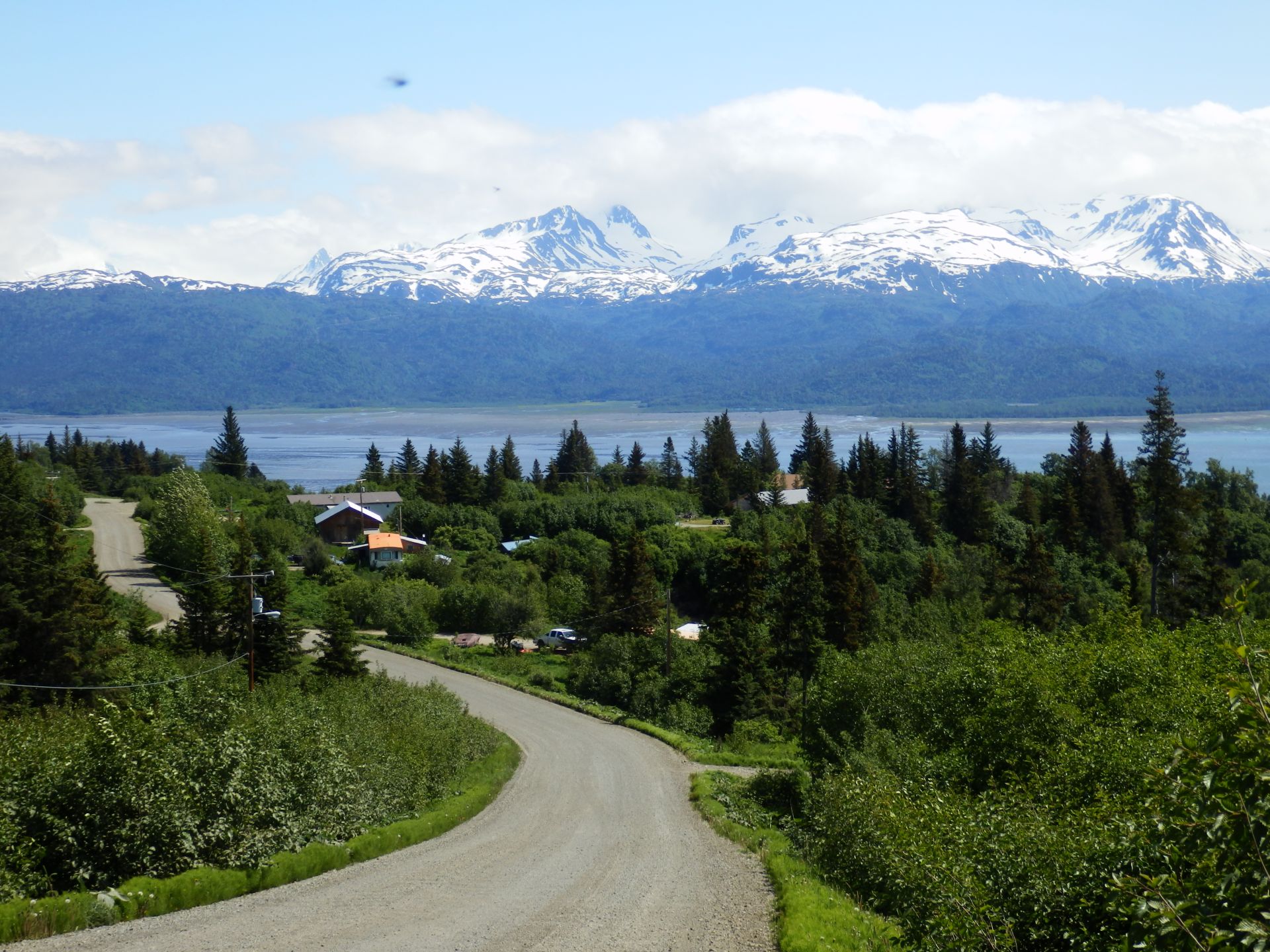 Medical Services in the Homer area.